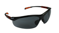 Suojalasit Worksafe Eagle harmaa